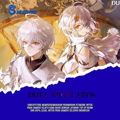 Duet Night Abyss